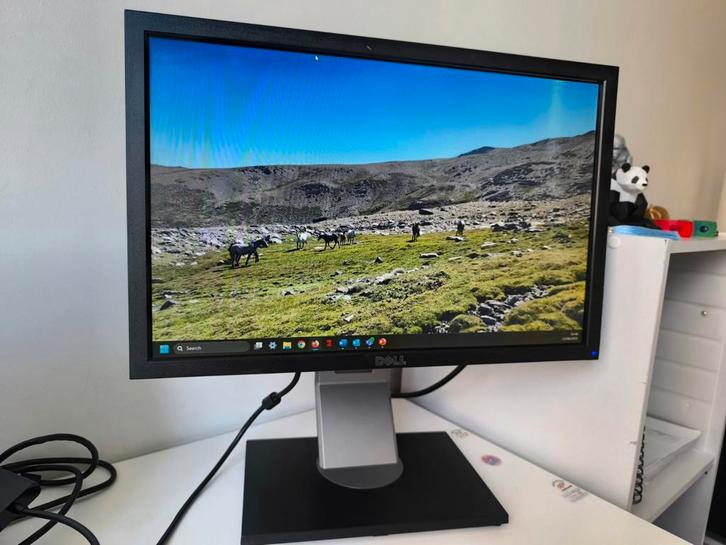 DELL monitor, Computers en Software, Monitoren, Zo goed als nieuw, VGA, Ophalen
