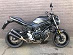 suzuki sv 650, Naked bike, 2 cylindres, Plus de 35 kW, 650 cm³