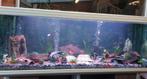 Aquarium 2m, Dieren en Toebehoren, Vissen | Aquaria en Toebehoren, Ophalen, Gebruikt, Leeg aquarium