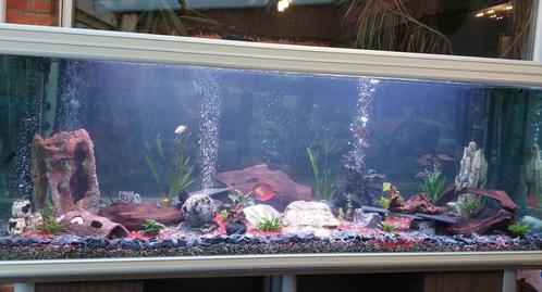 Aquarium 2m, Dieren en Toebehoren, Vissen | Aquaria en Toebehoren, Gebruikt, Leeg aquarium, Ophalen