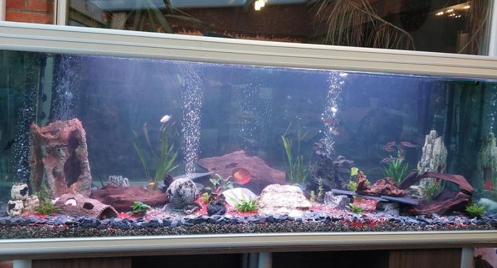 Aquarium 2m, Dieren en Toebehoren, Vissen | Aquaria en Toebehoren, Gebruikt, Leeg aquarium, Ophalen