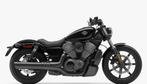 Harley-Davidson RH975 Nightster, Motos, Motos | Harley-Davidson, Autre, Entreprise