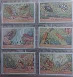 Liebig "in het water levende insecten", Enlèvement ou Envoi, Comme neuf, Animal, Gravure