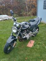 Honda Hornet 600, Motos, Motos | Honda, Particulier