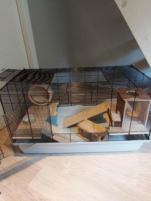 Grote luxe kooi met verdieping., Dieren en Toebehoren, Knaagdieren en Konijnen | Hokken en Kooien, Zo goed als nieuw, Kooi, Cavia