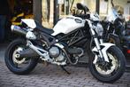 DUCATI MONSTER 696 ***MOTOVERTE.BE***, 2 cilinders, Bedrijf, 696 cc, Naked bike