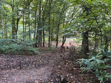 Grond te koop in Holsbeek beschikbaar voor biedingen