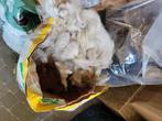 alpaca wol, Hobby en Vrije tijd, Breien en Haken, Ophalen, Nieuw, Breien, Wol of Garen
