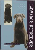 Labrador retriever, Esther Verhoef, Chiens, Enlèvement