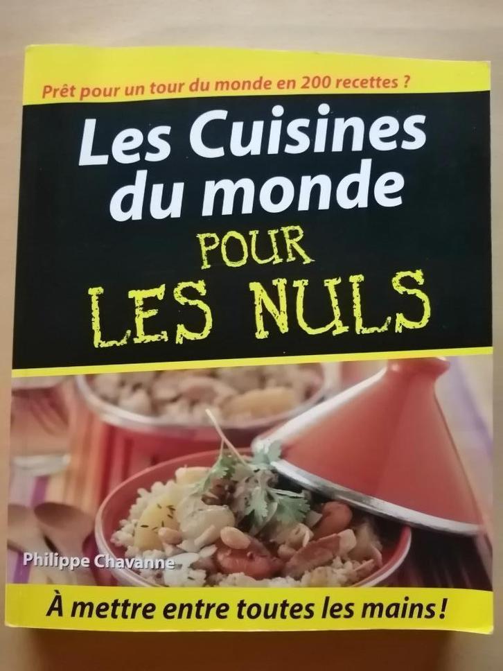 Les cuisines du monde pour les nuls de Philippe Chavanne, Livres, Livres de cuisine, Afrique, Enlèvement ou Envoi
