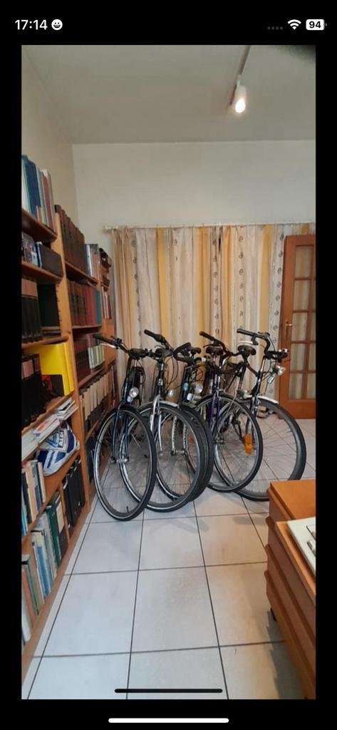 Damesfietsen leuven, Fietsen en Brommers, Fietsen | Dames | Omafietsen, Gebruikt, Versnellingen, Ophalen