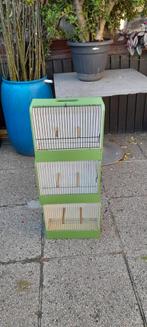 Vogels, Dieren en Toebehoren, Ophalen of Verzenden