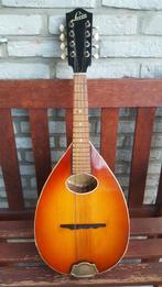 Levin mandoline Model 54 Taranto, Muziek en Instrumenten, Ophalen, Gebruikt