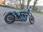 Harley Davidson Iron883, Motoren, Particulier