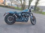 Harley Davidson Iron 883, Particulier