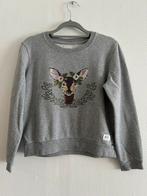 Grijze sweater American Outfitters maat 14, Enfants & Bébés, Vêtements enfant | Taille 164, Comme neuf, Fille, Pull ou Veste, Enlèvement ou Envoi