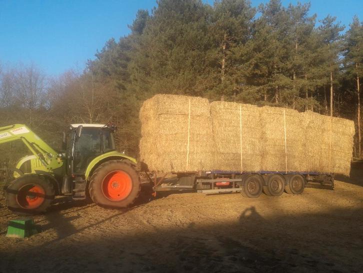 Grote pakken droog hooi voor paarden, Zakelijke goederen, Landbouw | Veevoer, Ophalen