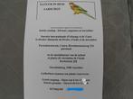 Parkieten . Vogelbeurs Aarschot 30-11-2025, Dieren en Toebehoren, Vogels | Parkieten en Papegaaien, Meerdere dieren, Parkiet, Geringd