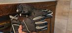 Winter of ski handschoenen, Sport en Fitness, Ophalen of Verzenden, Gebruikt, Ski