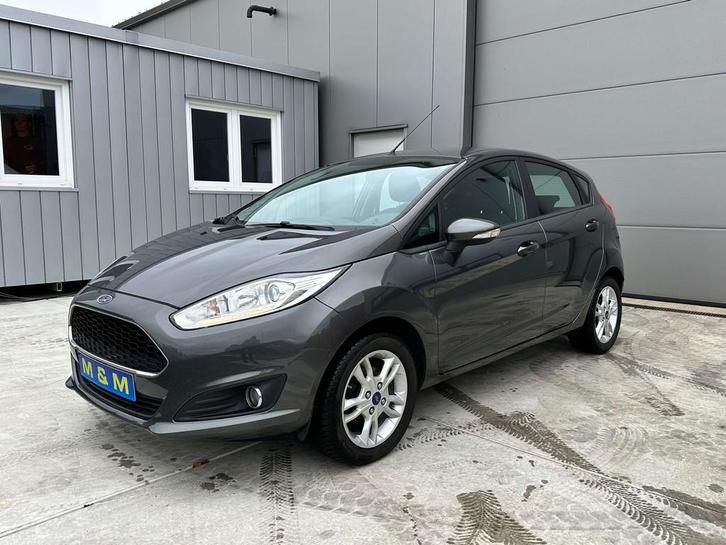 Ford Fiesta Fiesta 1.0 * 12 m garantie *, Auto's, Ford, Bedrijf, Te koop, Fiësta, ABS, Airbags, Airconditioning, Boordcomputer