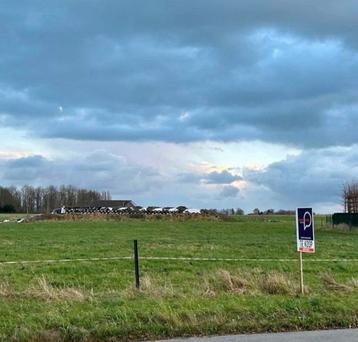 Bouwgrond te koop Kruishoutem (1409m²)