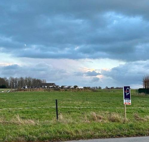 Bouwgrond te koop Kruishoutem (1409m²), Immo, Gronden en Bouwgronden