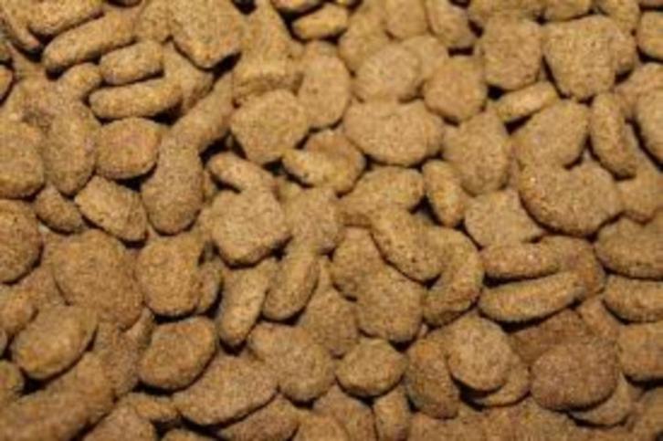 hondenbrokken high energy sportbrok 15kg., Dieren en Toebehoren, Dierenvoeding, Hond, Ophalen
