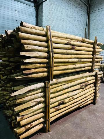 Kastanje palen gepunt / ronde Kastanje beschikbaar voor biedingen