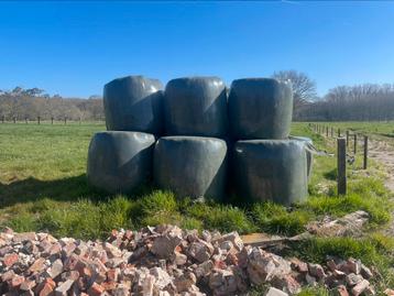 Hooi en voordroog, Zakelijke goederen, Landbouw | Veevoer, Ophalen