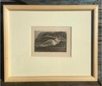 Heliogravure “Lassata” 1889 F.Rops ingekaderd 100€ ipv 182€, Antiek en Kunst, Kunst | Etsen en Gravures, Ophalen of Verzenden