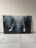Glasschilderij Olifant, 75 cm ou plus, Comme neuf, 100 à 125 cm, Enlèvement