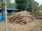 Brandhout (coniferen), Tuin en Terras, Brandhout, Ophalen