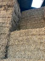 Topkwaliteit tarwestro, Dieren en Toebehoren, Ophalen, Overige soorten