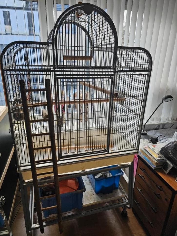 Grande cage perroquet + accessoires, Animaux & Accessoires, Oiseaux | Cages & Volières, Utilisé, Cage à oiseaux, Enlèvement ou Envoi