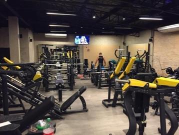 Ensemble complet d'équipements TECHNOGYM TECHNOGYM BANKRUPTY, Enlèvement, Comme neuf, Bras