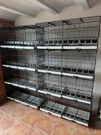2 torens van 4 kweekkooien, Dieren en Toebehoren, Ophalen, Zo goed als nieuw