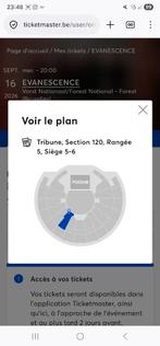 2 places assises concert d Evanescence le 16 /09/2026