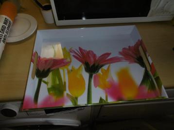 nieuw opdienplateau in melamine bloemen