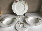 Rosenthal Fleurs sauvage 5 pièces, Enlèvement ou Envoi, Utilisé, Porcelaine, Assiettes(s)