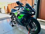 ninja 650cm3 abs 2024 988km gar 2028, 650 cc, Bedrijf, 2 cilinders, Sport