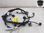 KABELBOOM Nissan Leaf (ZE1) (01-2017/-) (|240115SH0D|), Gebruikt, Nissan