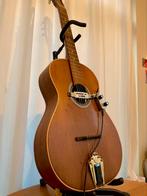 Di Mauro Parlor gitaar, Ophalen, Gebruikt