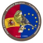 Timbrado Spaanse Zangkanarie ( Floreado), Plusieurs animaux, Canari chanteur