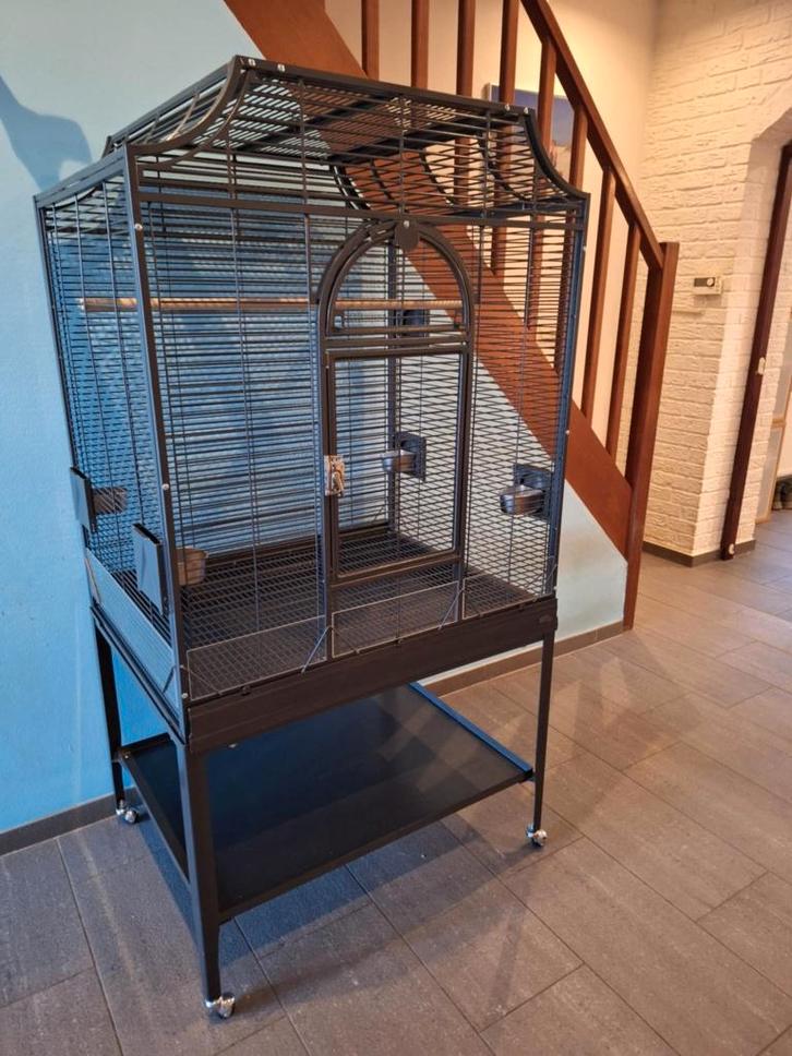 Montana Madeira III 4 maanden oud, Animaux & Accessoires, Oiseaux | Cages & Volières, Comme neuf, Cage à oiseaux, Métal, Enlèvement