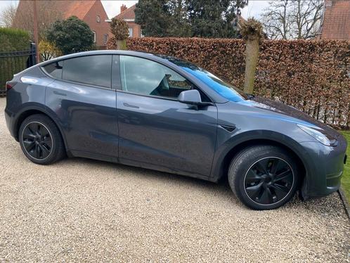 Tesla model Y. 4x4, long range, trekhaak, antraciet, Auto's, Tesla, Particulier, 4x4, Achteruitrijcamera, Adaptieve lichten, Adaptive Cruise Control