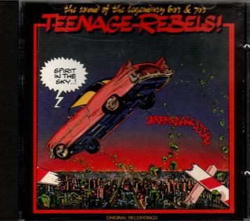 VA - TEENAGE REBELS! - SPIRIT IN THE SKY - CD - 1992 - NETHE, Cd's en Dvd's, Verzenden, 1960 tot 1980, Gebruikt