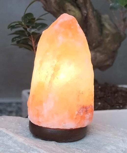 Lampe de sel de l'Himalaya naturel, Maison & Meubles, Lampes | Lampes de table, Utilisé, Bois, Enlèvement