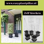 balkontuin balkonmoestuin balkonplant balkonplanten, Ophalen of Verzenden, Overige soorten