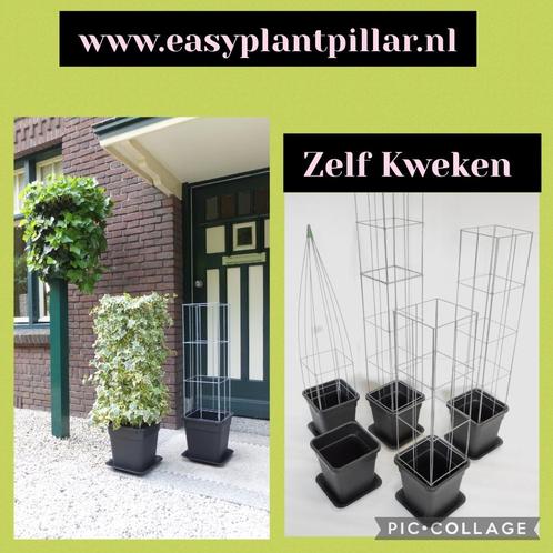 balkontuin balkonmoestuin balkonplant balkonplanten, Huis en Inrichting, Kamerplanten, Overige soorten, Ophalen of Verzenden