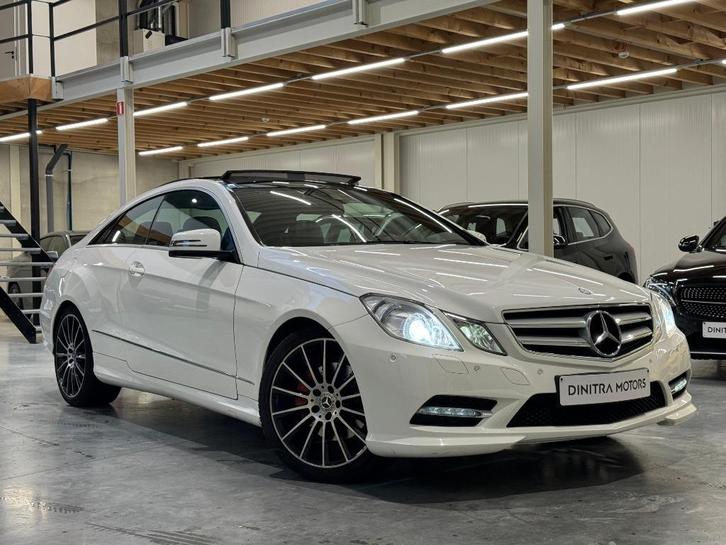 MERCEDES-BENZ E 220 - AMG/Pano/Zetelvw/Euro6, Auto's, Mercedes-Benz, Bedrijf, Te koop, E-Klasse, ABS, Airbags, Airconditioning